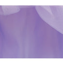 Vestido Rapunzel Princesa Disney (Luxo) | Fantasia Infantil Manga Longa Tule e Paetês